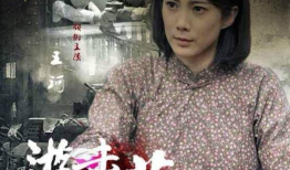 游击英雄电视剧,游击英雄的传奇征程