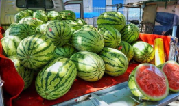 淄博吃瓜爆料事件真相,揭秘背后真相与网络舆论的反思