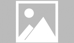 谍血孤岛电视剧,生死较量，孤岛秘境中的暗战风云