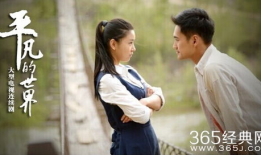 电视剧平凡的世界结局,命运交织，谱写人生华章